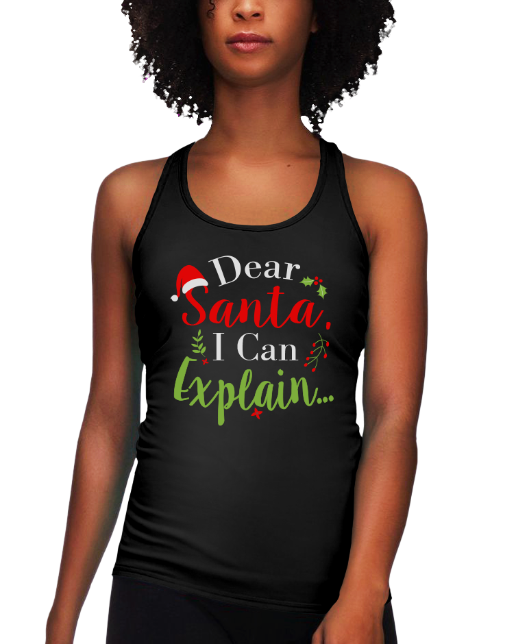 Dear Santa I Can Explain (LRT)