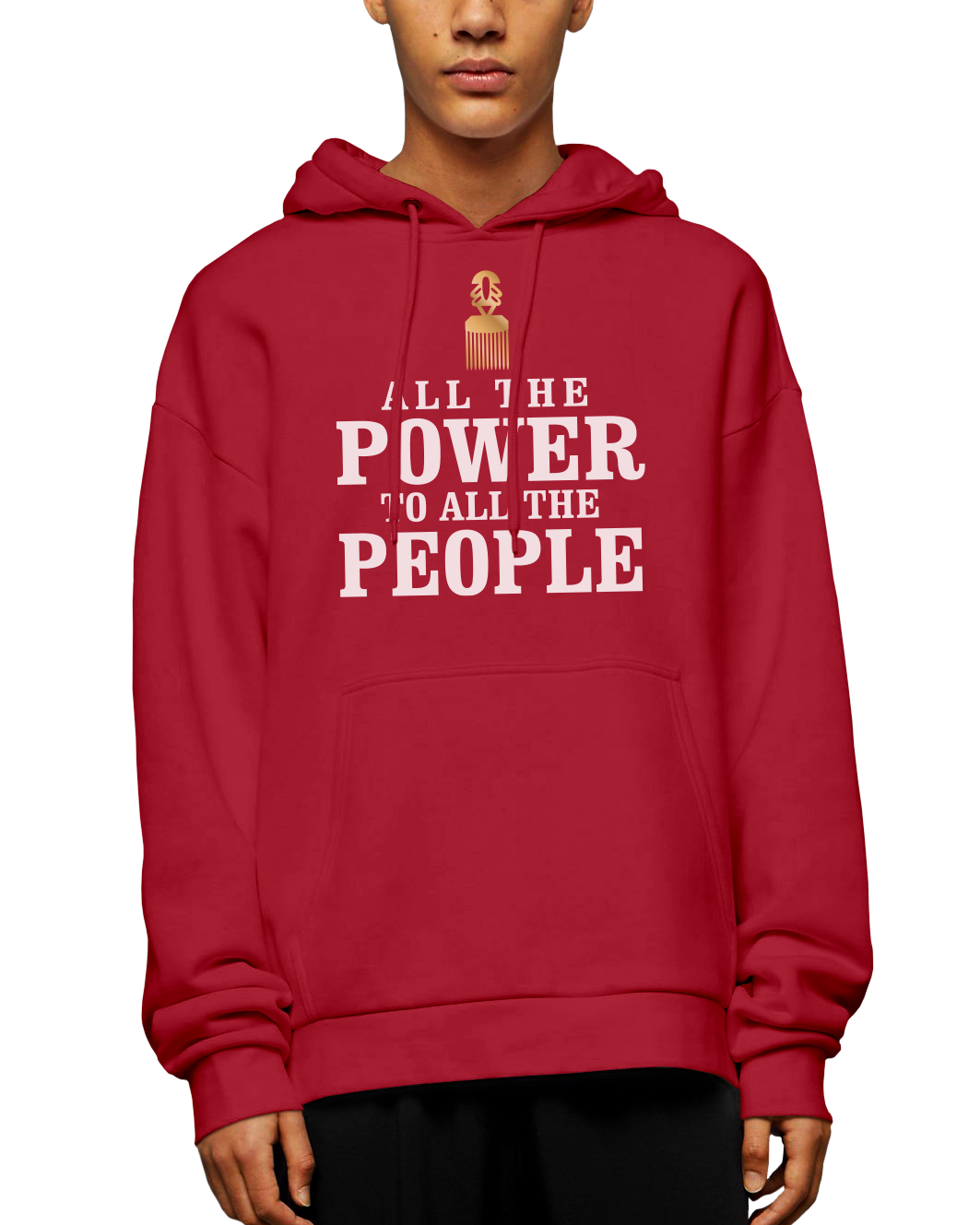 All The Power To All The People Adult Pullover Hoodie