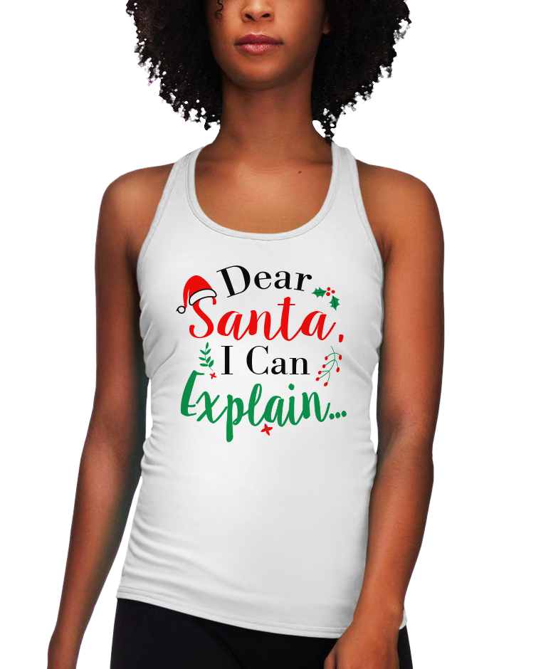Dear Santa I Can Explain (LRT)