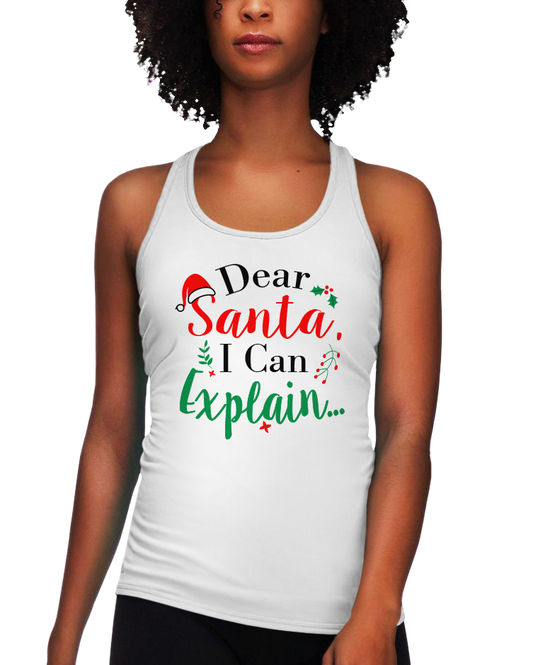 Dear Santa I Can Explain (LRT)